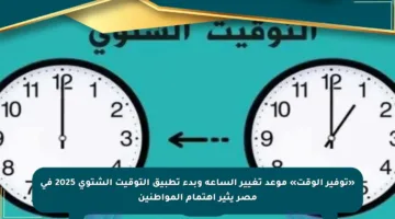 «توفير الوقت» موعد تغيير الساعة وبدء تطبيق التوقيت الشتوي 2025 في مصر يثير اهتمام المواطنين